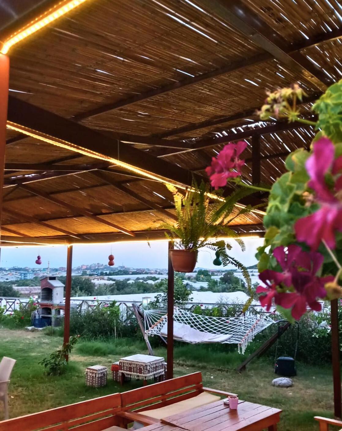 Bu Bungalow Hotel Demre Eksteriør billede